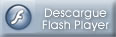 btnplugflash